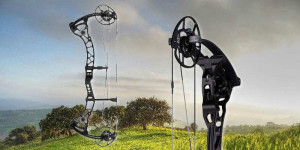 Compound bows that are a little shorter so that...