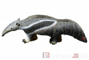 Inform3D Ameisenbär