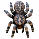 Leitold 3D-target large tarantula - 106 x 86 cm  (Group 2+3)
