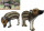 SRT 3D-Ziel Wildschwein Frischlinge (Ferkel) - 40 x 50 cm groß